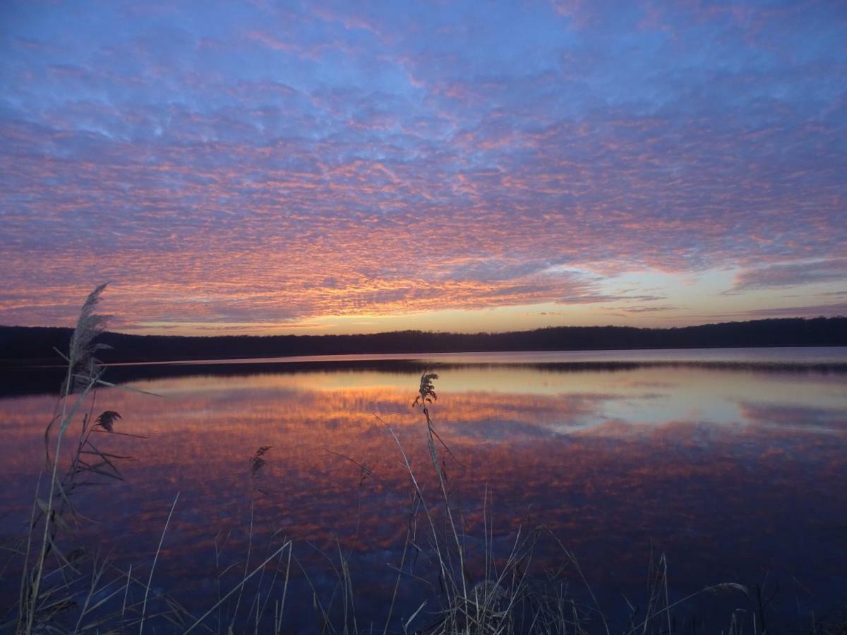 Gite De L'Etang Belval-en-Argonne Exteriör bild